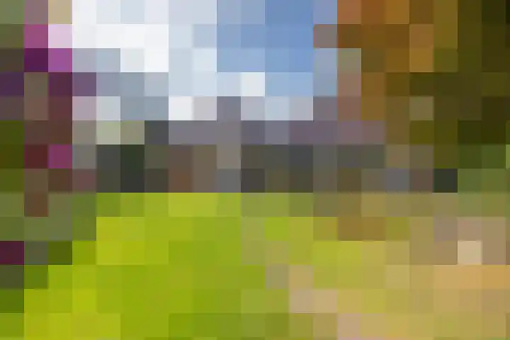 De Oester 8 Kornhorn thumbnail 47