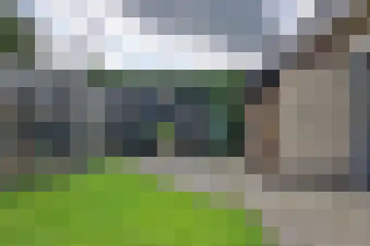 De Oester 8 Kornhorn thumbnail 49