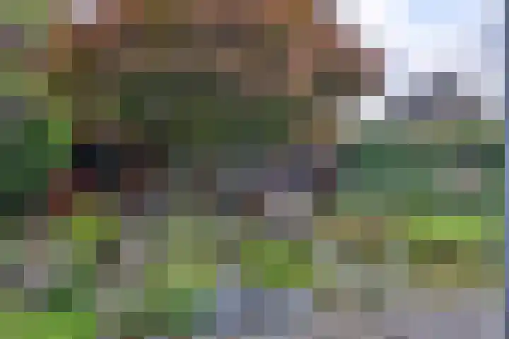 De Oester 8 Kornhorn thumbnail 50