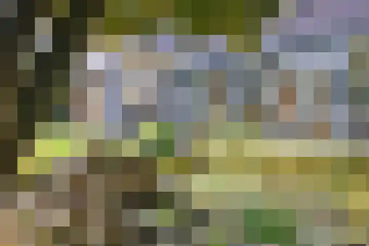 De Oester 8 Kornhorn thumbnail 51
