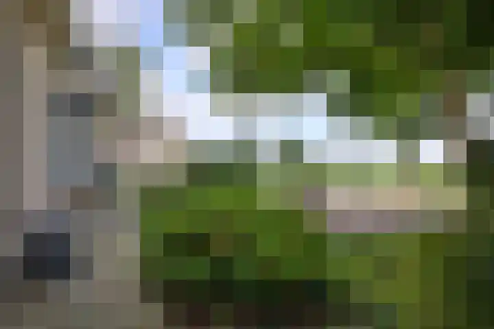 De Oester 8 Kornhorn thumbnail 52
