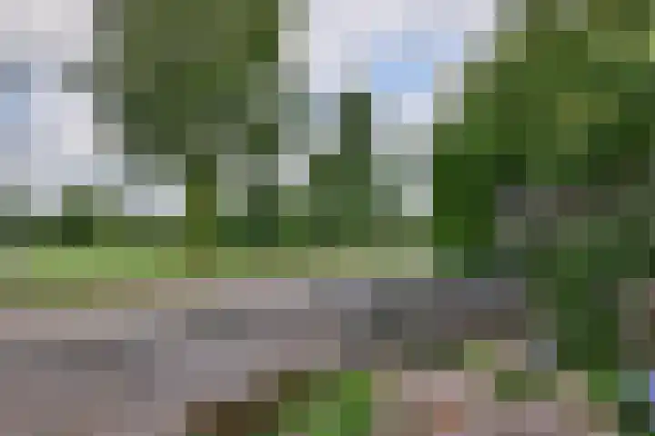De Oester 8 Kornhorn thumbnail 53