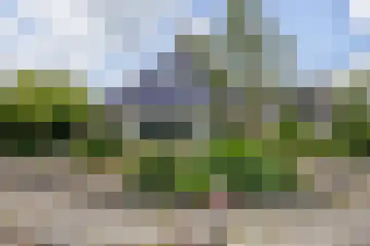 De Oester 8 Kornhorn thumbnail 54