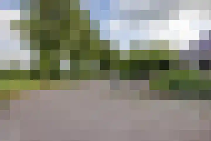 De Oester 8 Kornhorn thumbnail 55