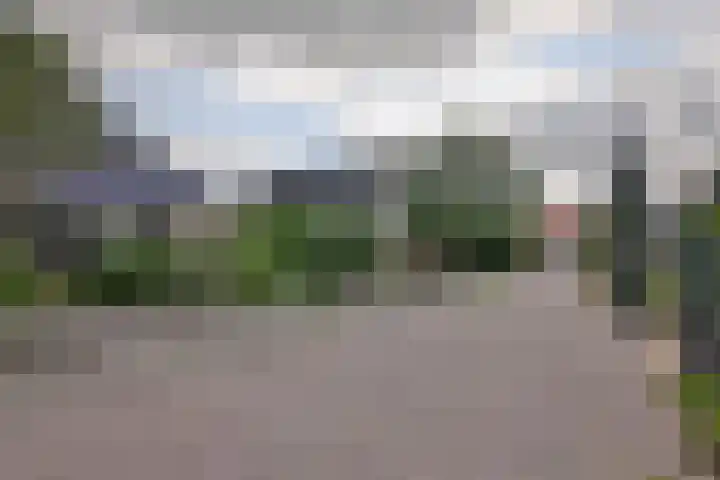 De Oester 8 Kornhorn thumbnail 56