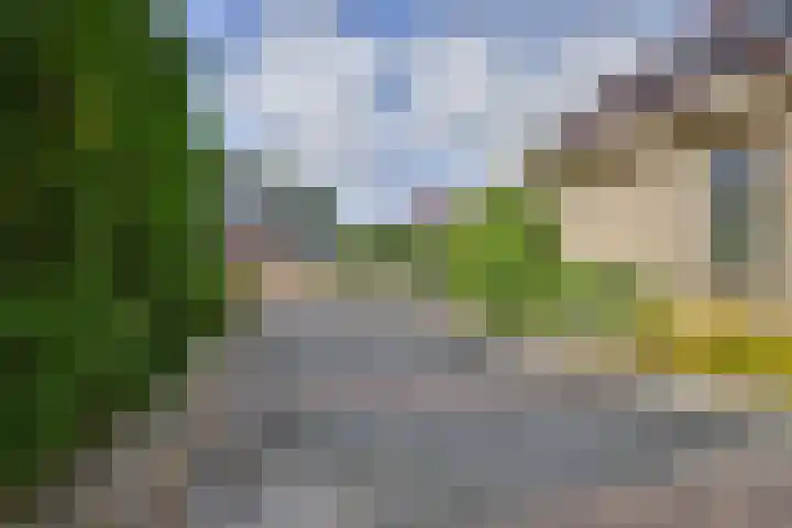 De Oester 8 Kornhorn thumbnail 59