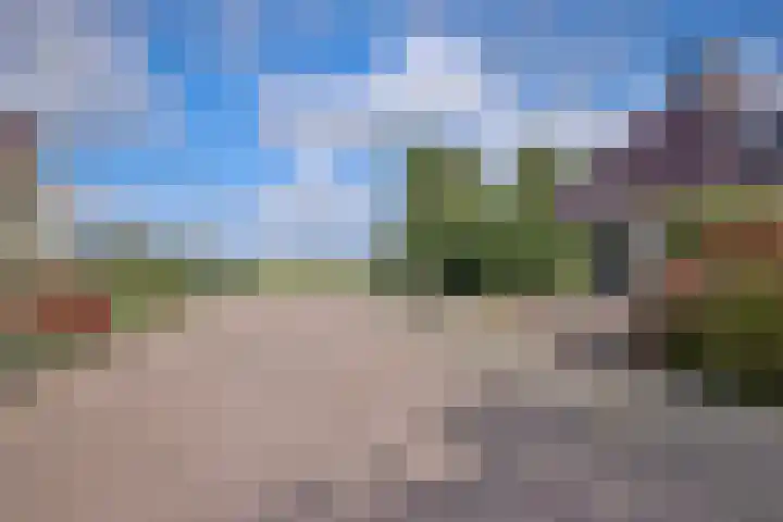 De Oester 8 Kornhorn thumbnail 60