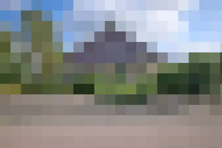 De Oester 8 Kornhorn thumbnail 61