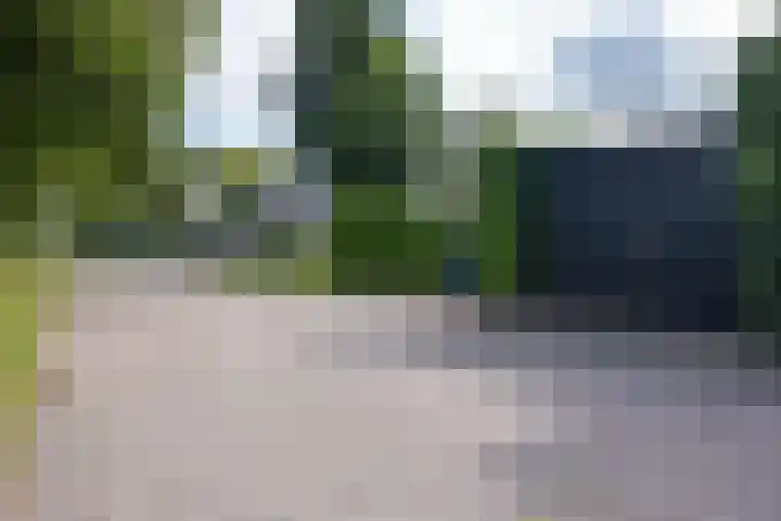 De Oester 8 Kornhorn thumbnail 62
