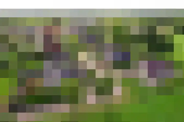 De Oester 8 Kornhorn thumbnail 64
