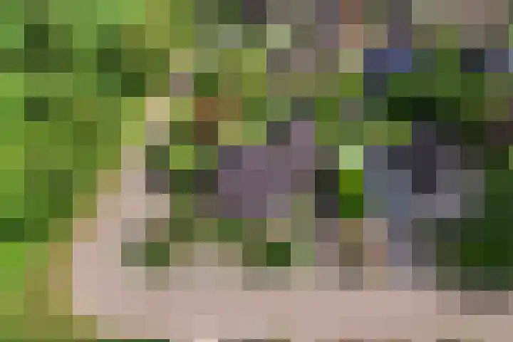 De Oester 8 Kornhorn thumbnail 66