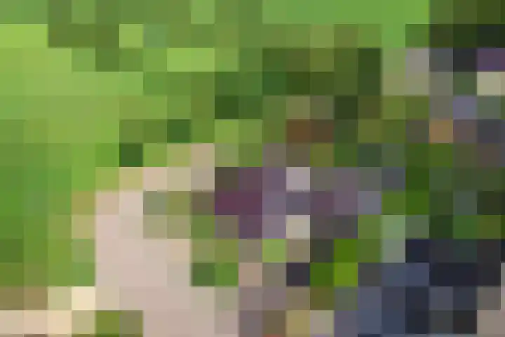 De Oester 8 Kornhorn thumbnail 67