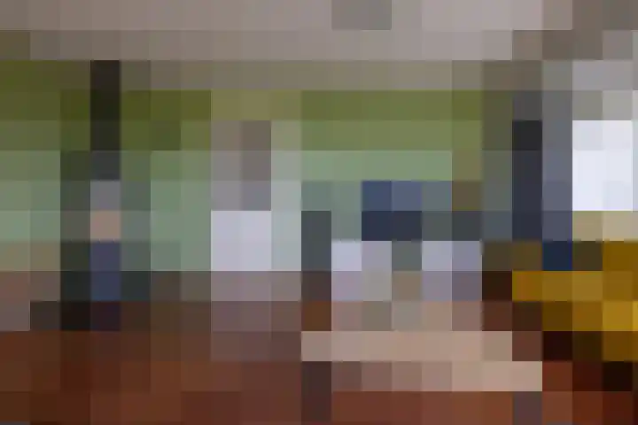 De Oester 8 Kornhorn thumbnail 7