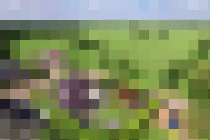 De Oester 8 Kornhorn thumbnail 70