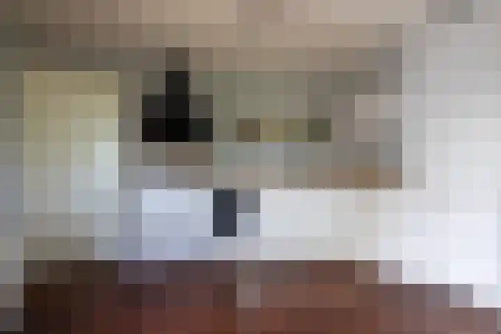 De Oester 8 Kornhorn thumbnail 8