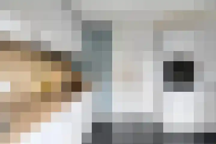 De Oever 10 Swalmen thumbnail 15