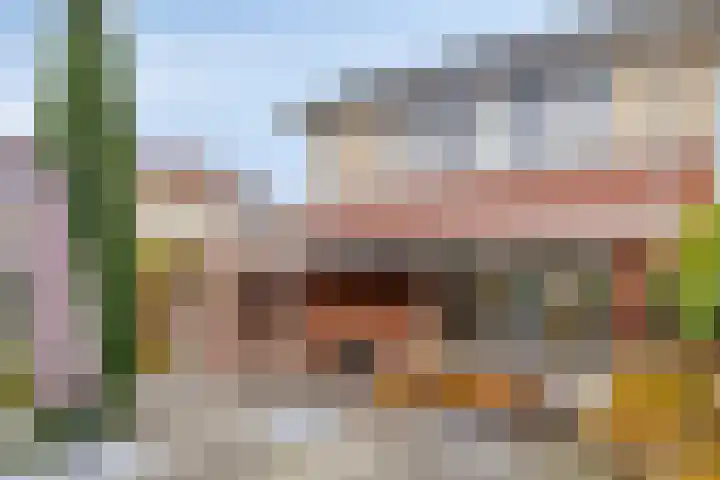 De Oever 10 Swalmen thumbnail 27
