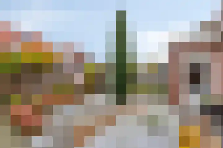 De Oever 10 Swalmen thumbnail 29