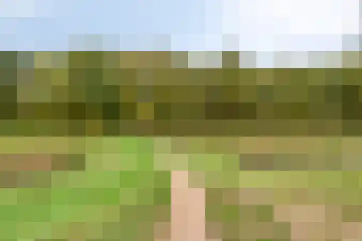 De Oever 10 Swalmen thumbnail 32
