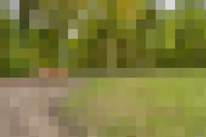 De Oever 10 Swalmen thumbnail 33