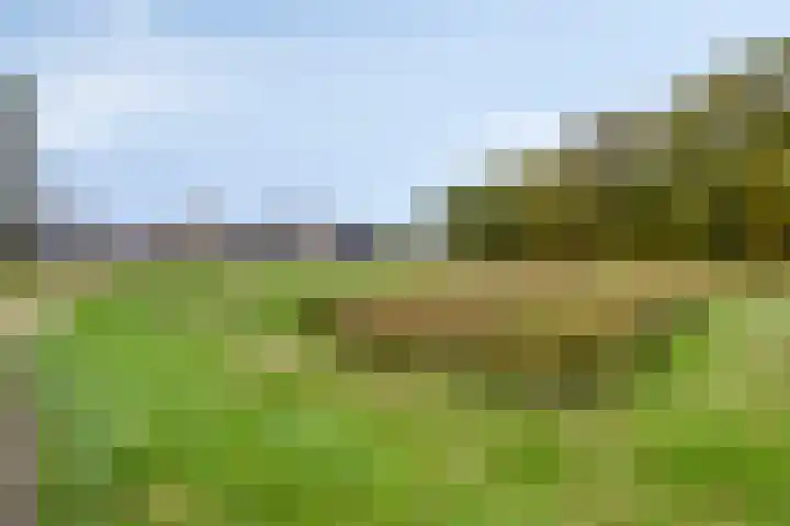 De Oever 10 Swalmen thumbnail 34