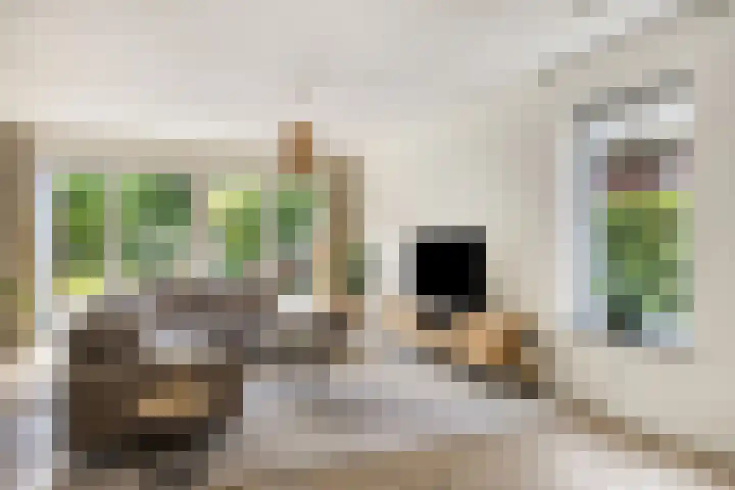 De Oever 50 Swalmen thumbnail 11