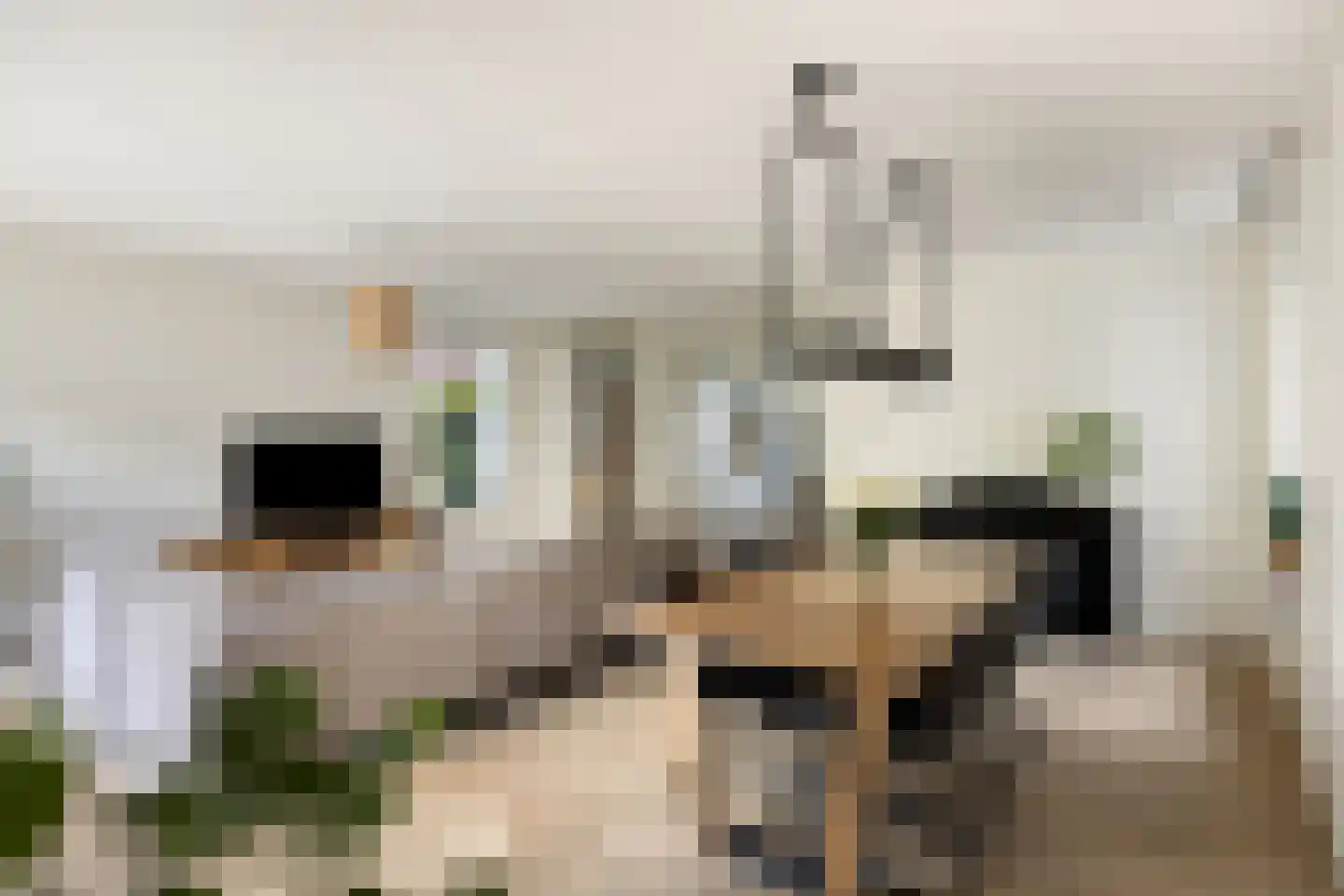 De Oever 50 Swalmen thumbnail 15