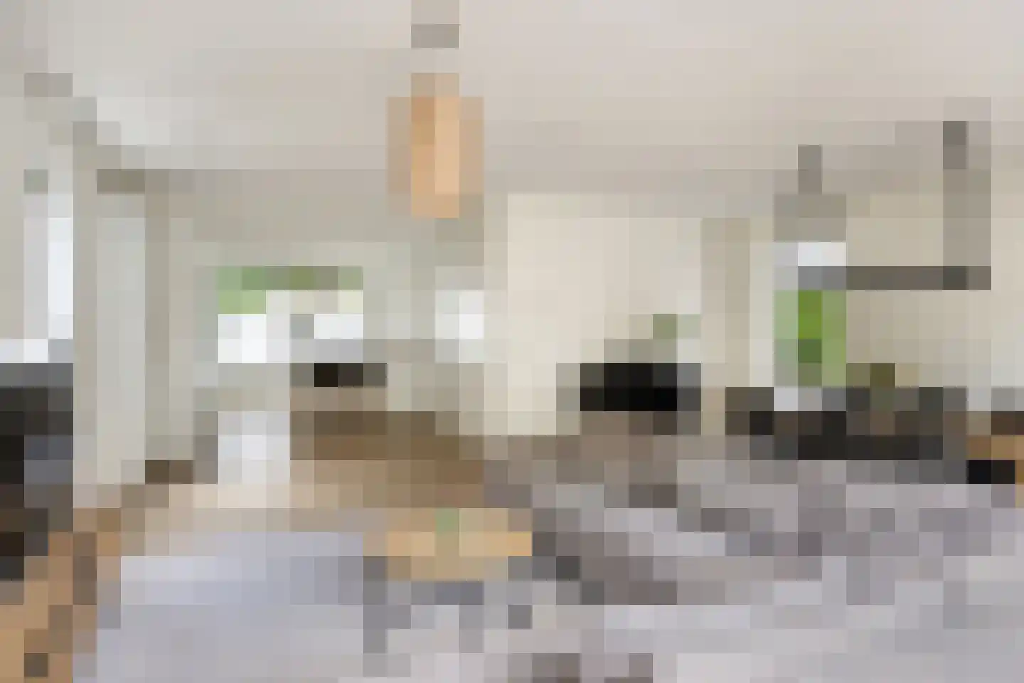 De Oever 50 Swalmen thumbnail 16