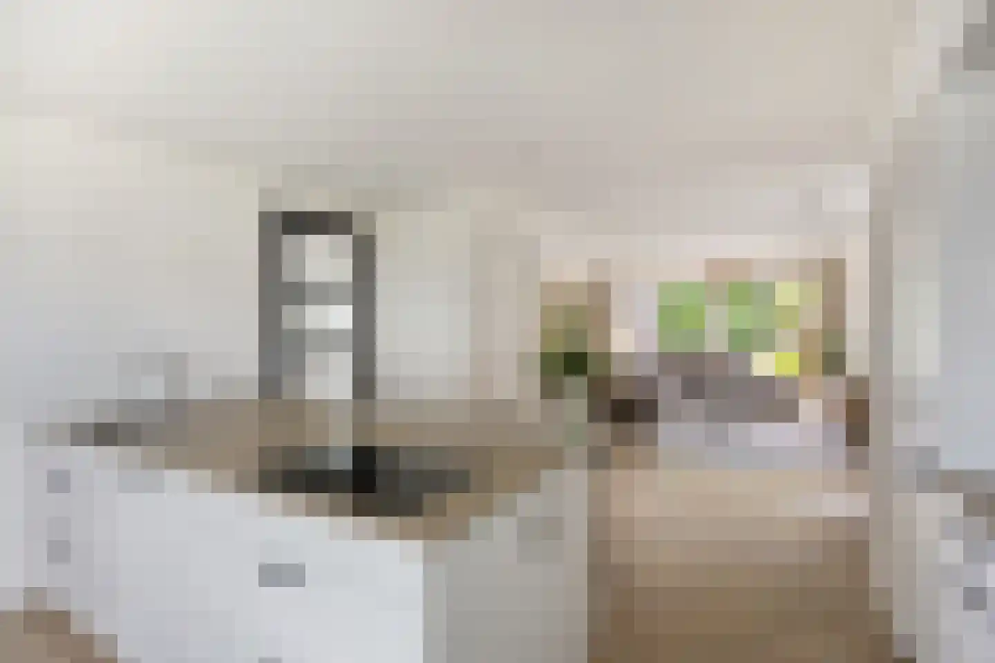 De Oever 50 Swalmen thumbnail 18