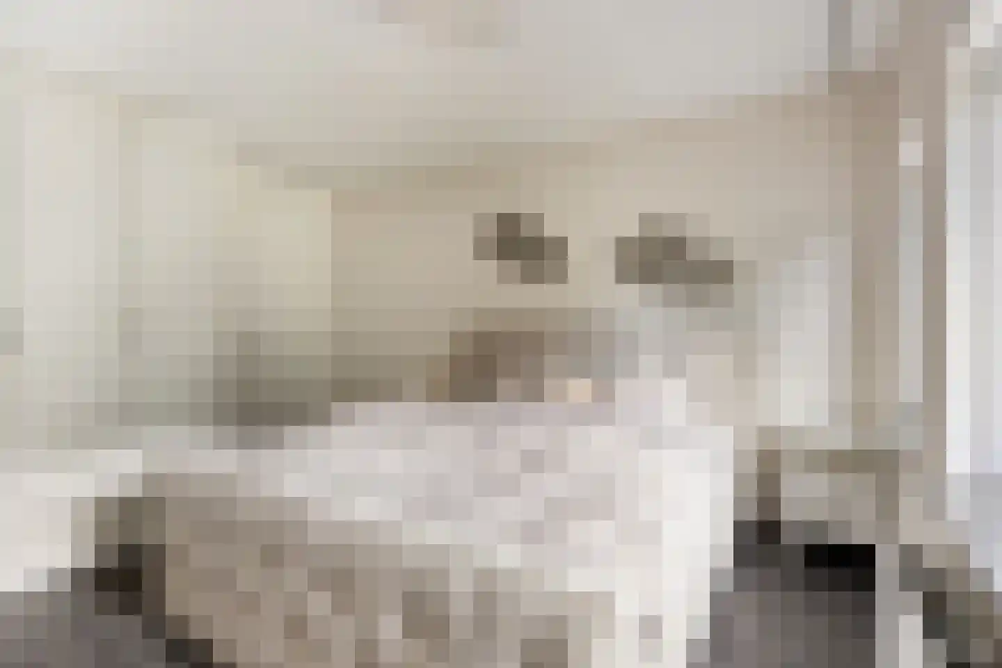 De Oever 50 Swalmen thumbnail 29
