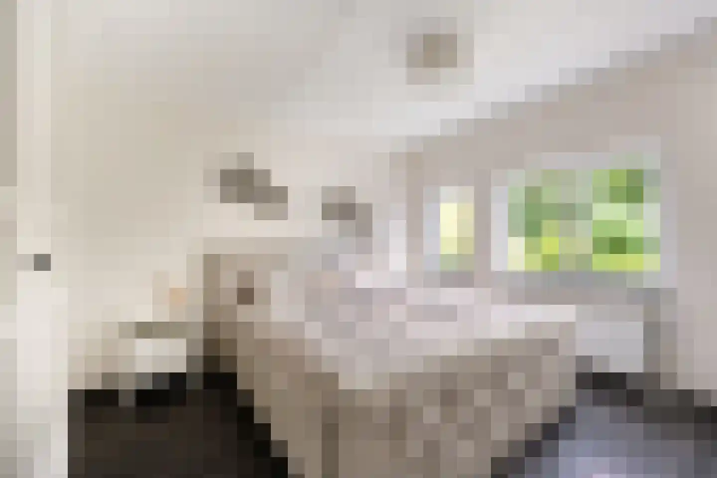 De Oever 50 Swalmen thumbnail 30