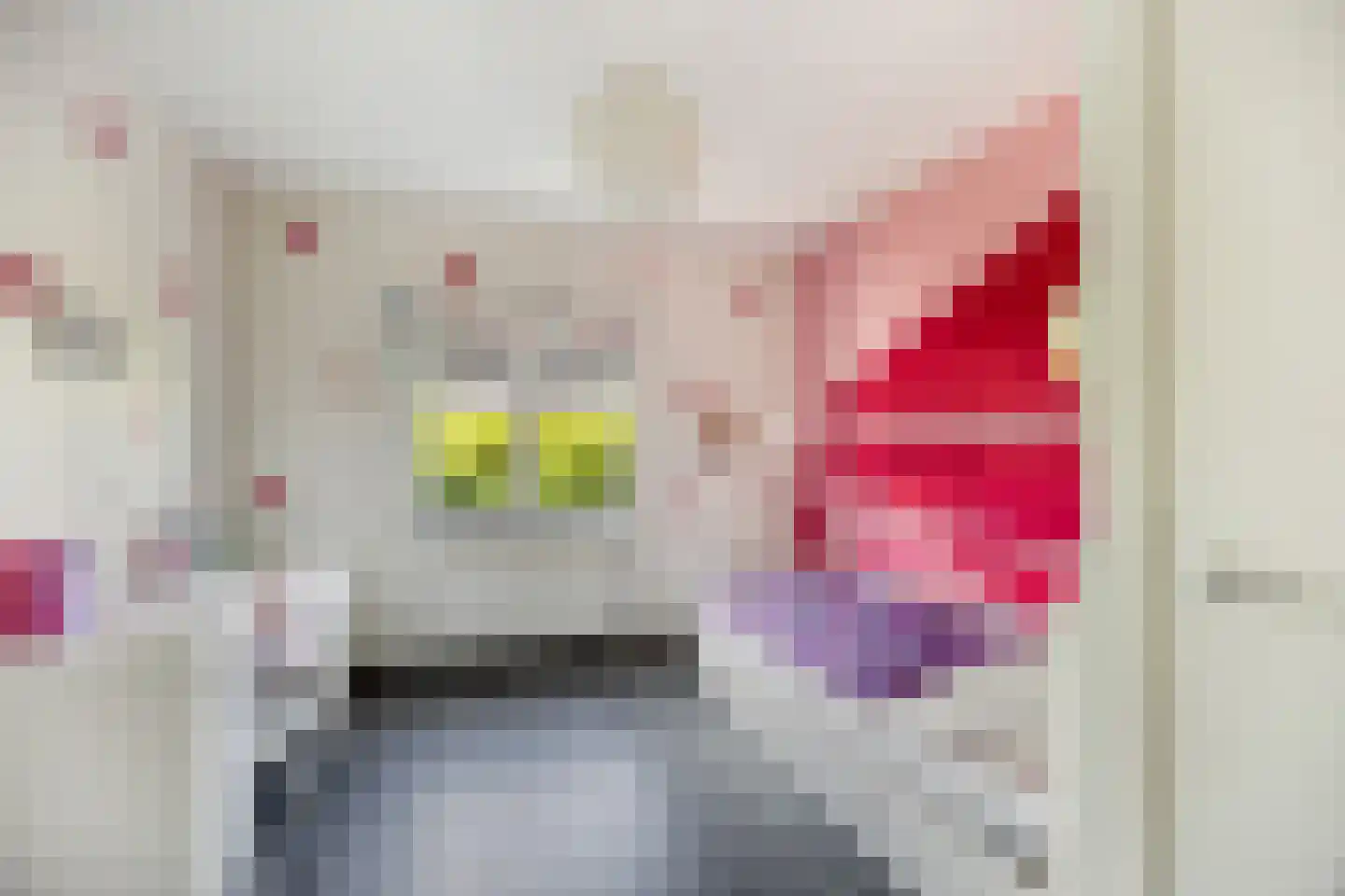 De Oever 50 Swalmen thumbnail 38