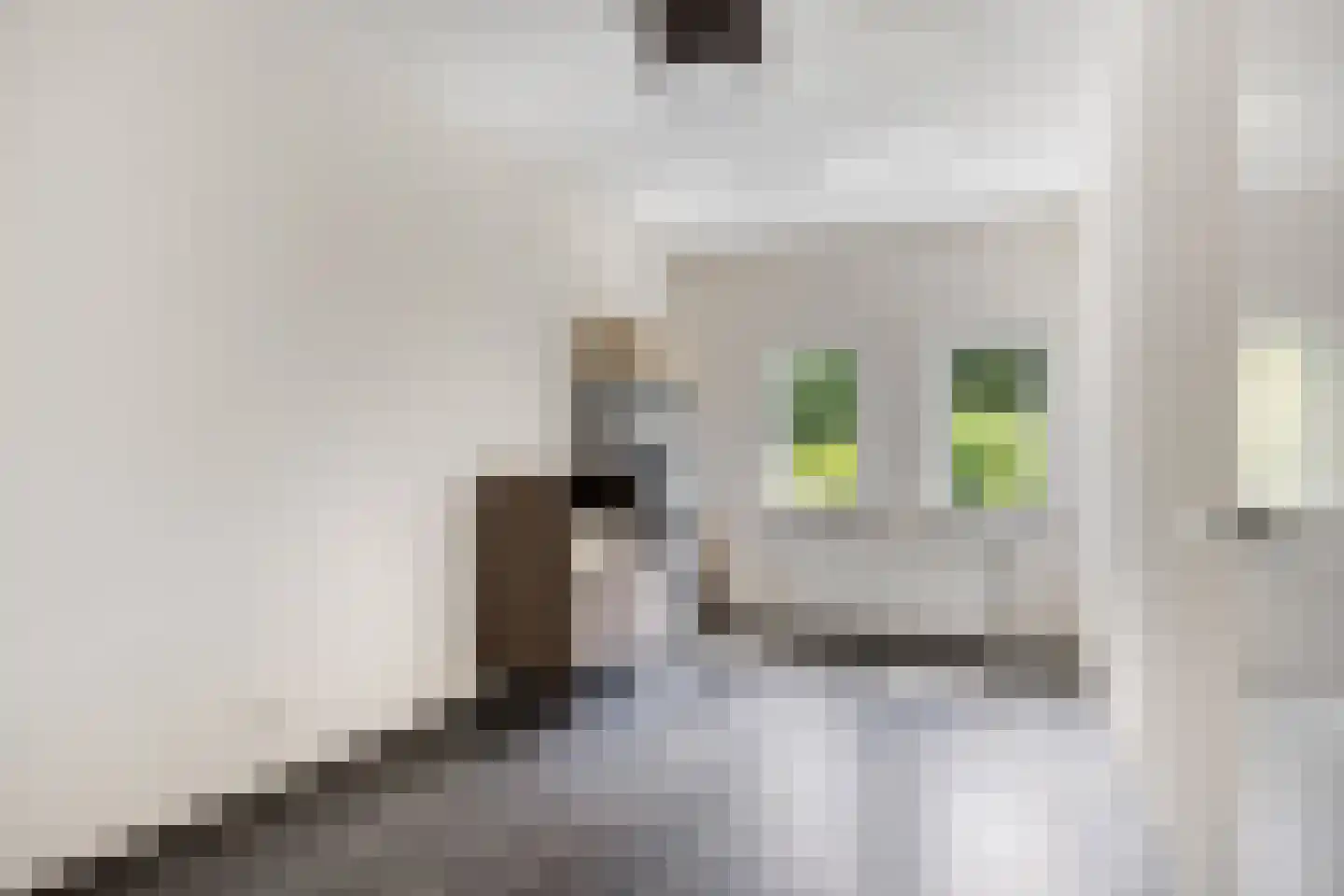 De Oever 50 Swalmen thumbnail 39