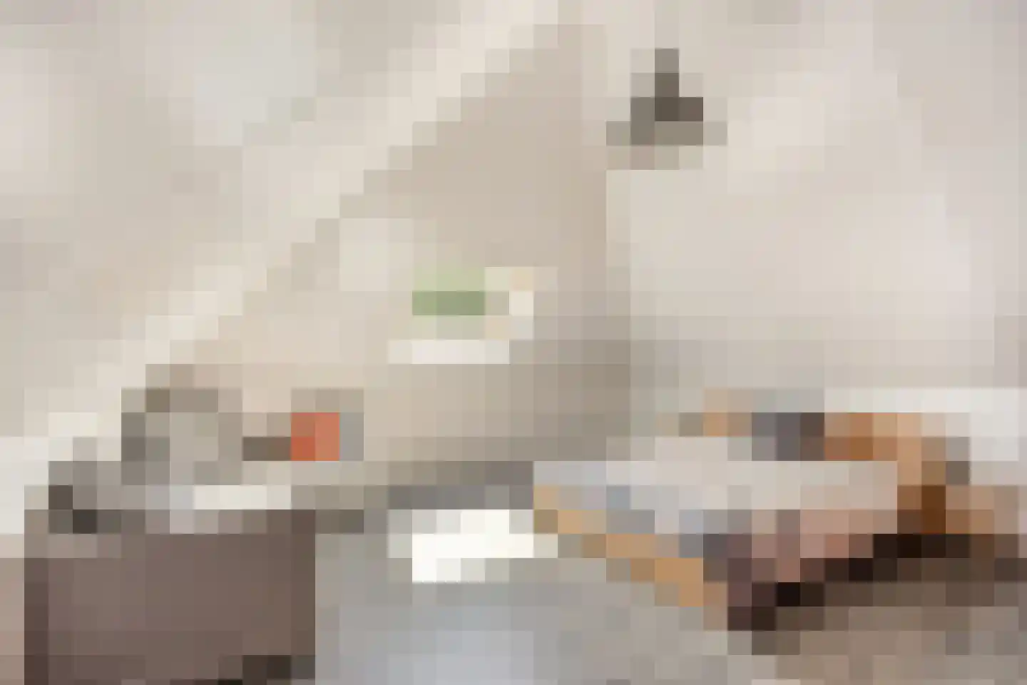 De Oever 50 Swalmen thumbnail 40