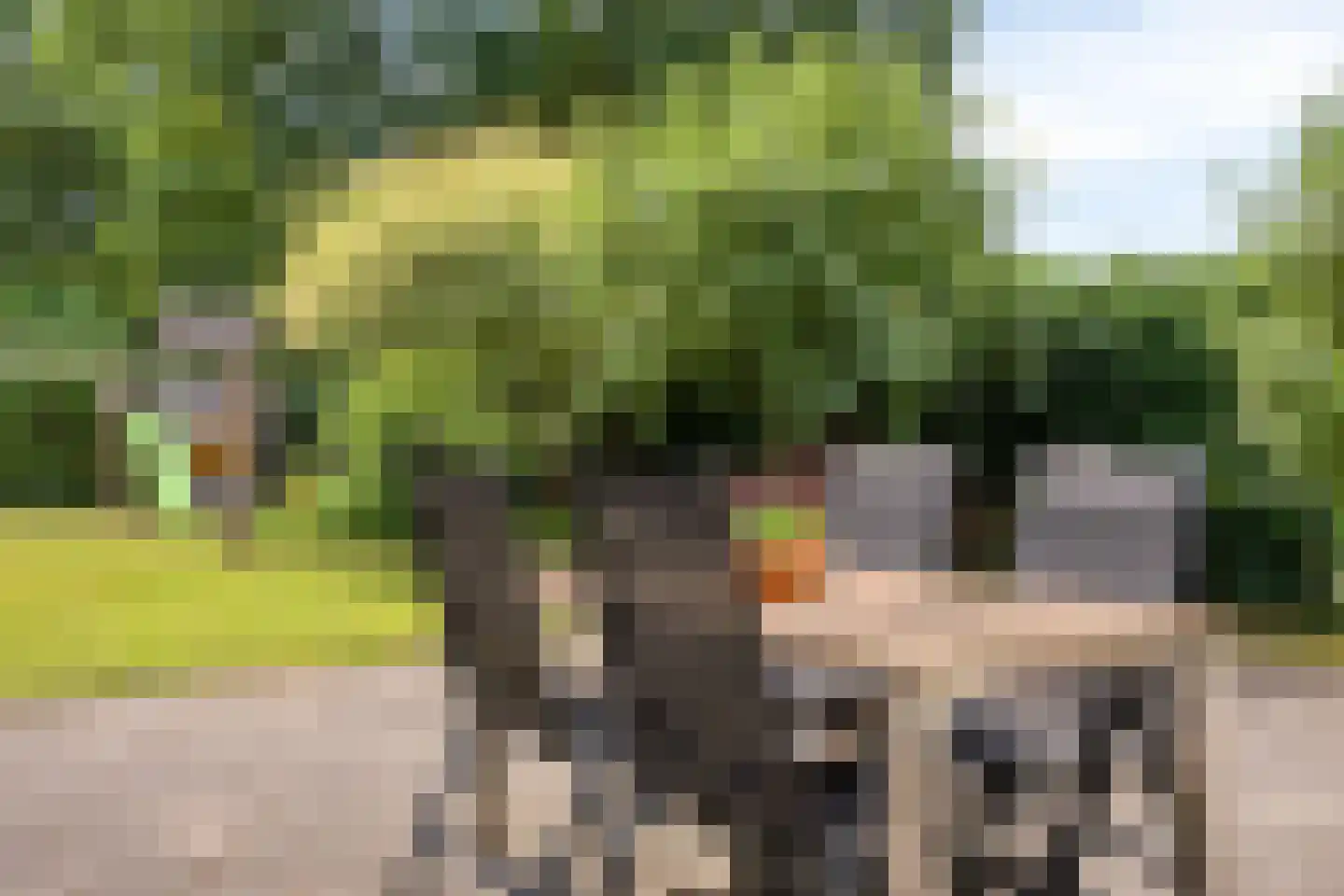 De Oever 50 Swalmen thumbnail 44