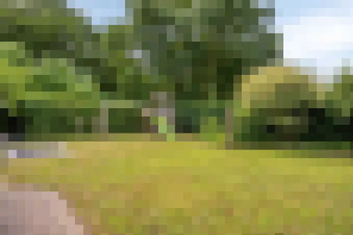 De Oever 50 Swalmen thumbnail 45