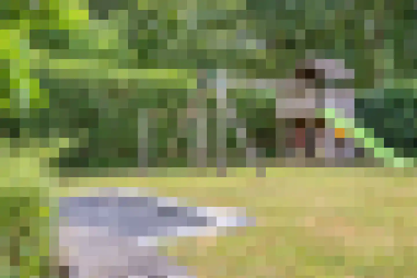 De Oever 50 Swalmen thumbnail 47