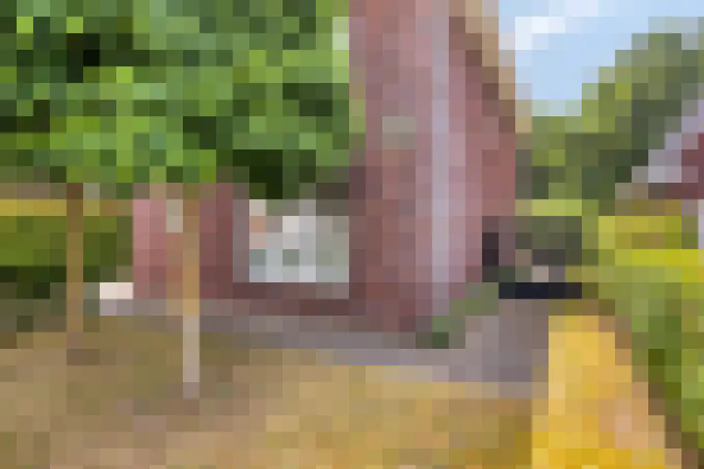 De Oever 50 Swalmen thumbnail 62