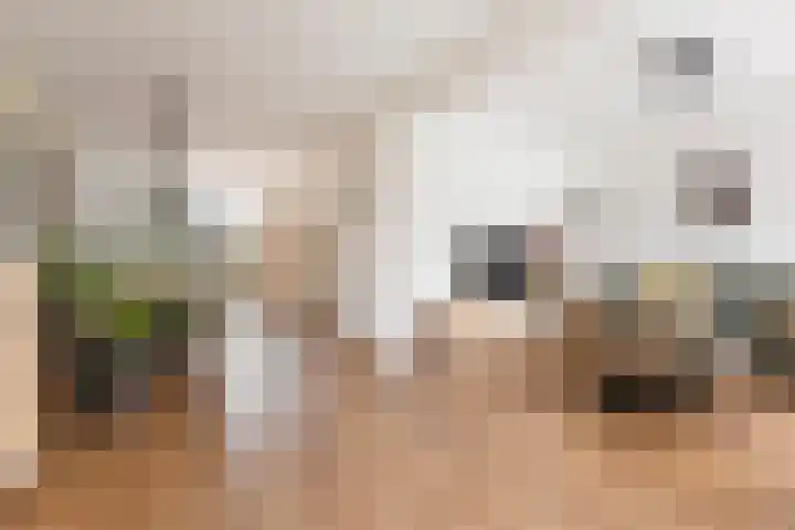 De Oever 8 Opende thumbnail 12