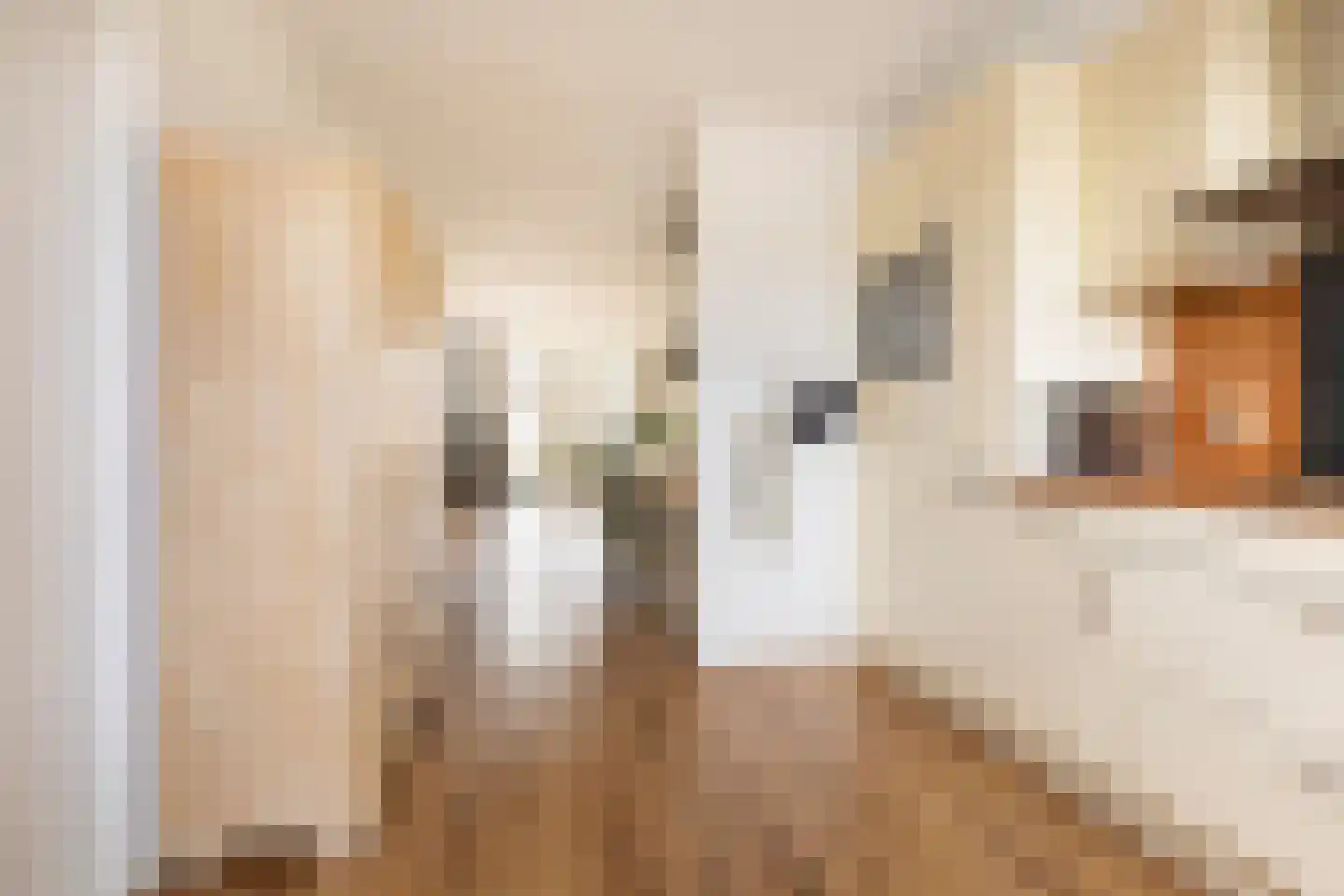De Oever 8 Opende thumbnail 15