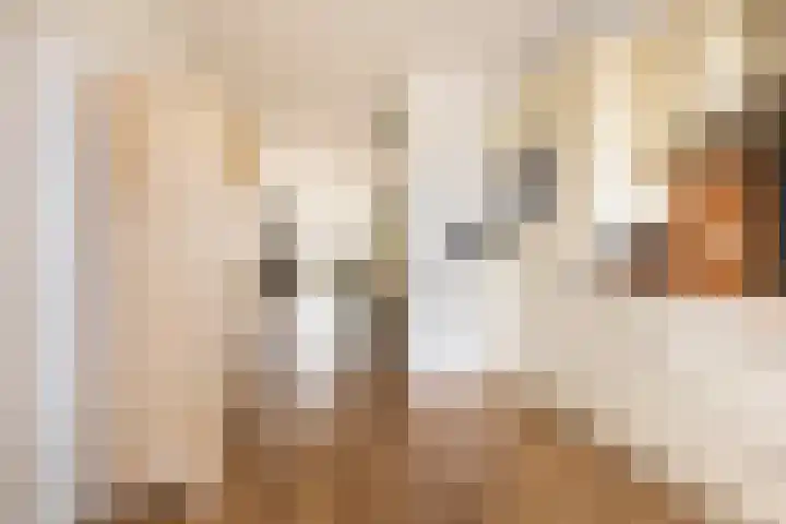 De Oever 8 Opende thumbnail 17
