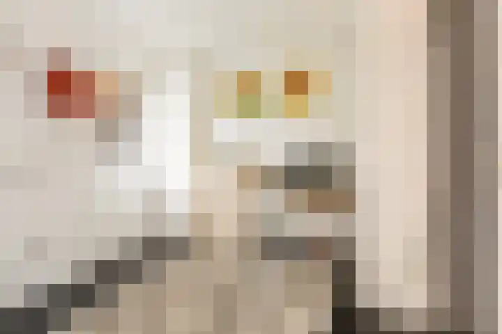 De Oever 8 Opende thumbnail 18