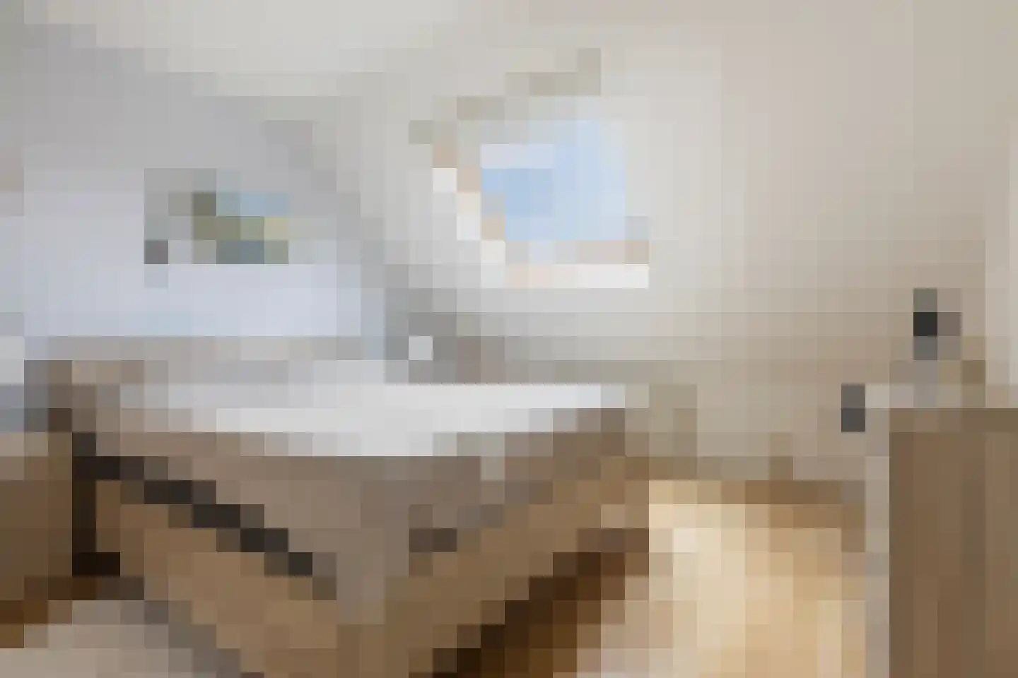De Oever 8 Opende thumbnail 19