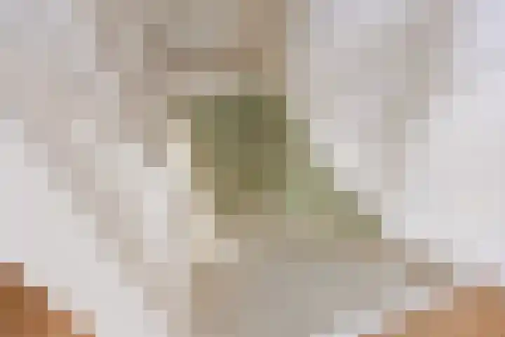 De Oever 8 Opende thumbnail 19