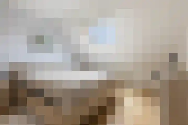 De Oever 8 Opende thumbnail 21