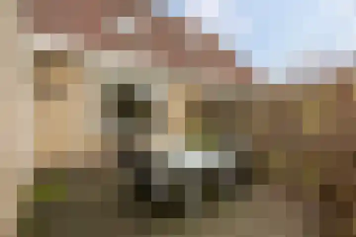 De Oever 8 Opende thumbnail 35