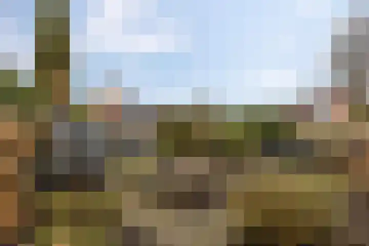 De Oever 8 Opende thumbnail 36