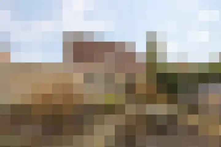 De Oever 8 Opende thumbnail 37