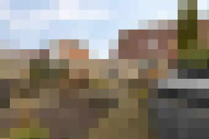 De Oever 8 Opende thumbnail 38