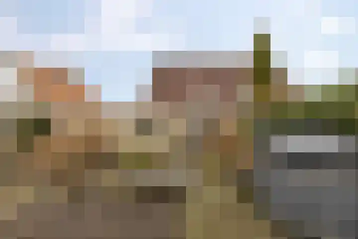 De Oever 8 Opende thumbnail 39